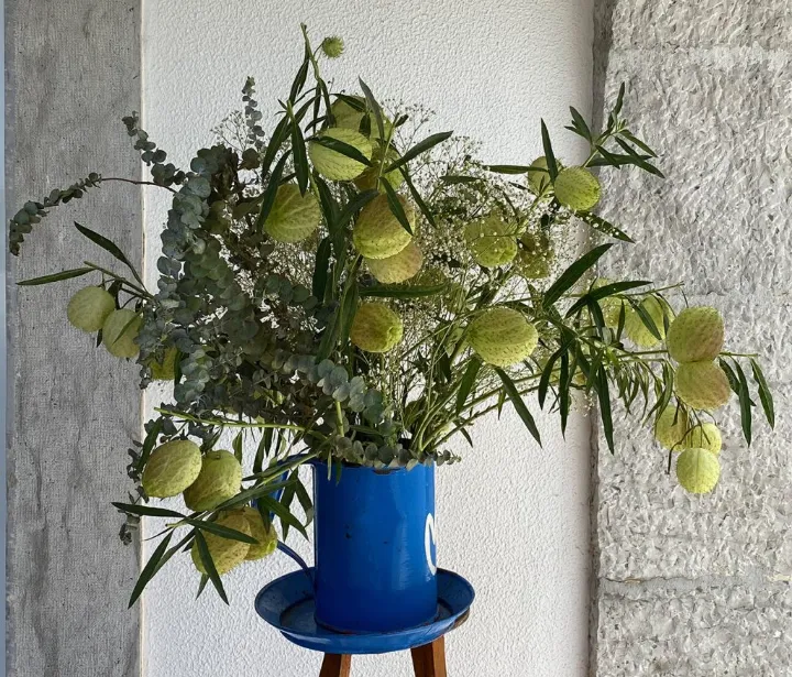 Inspired by nature