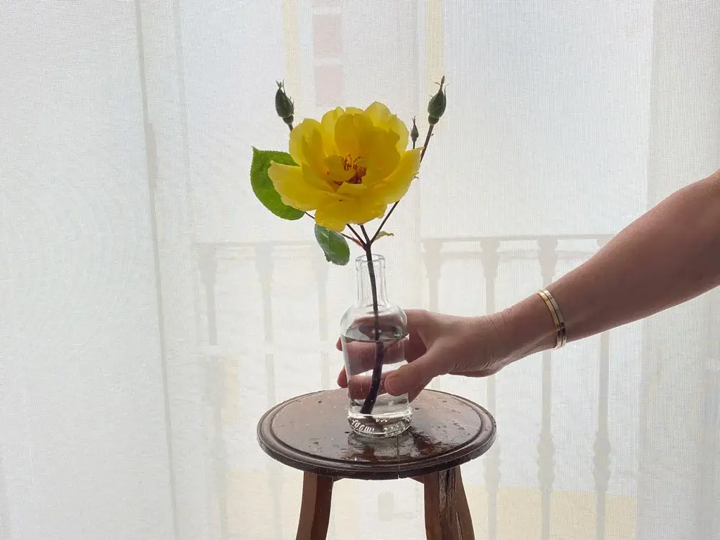 hand and flower