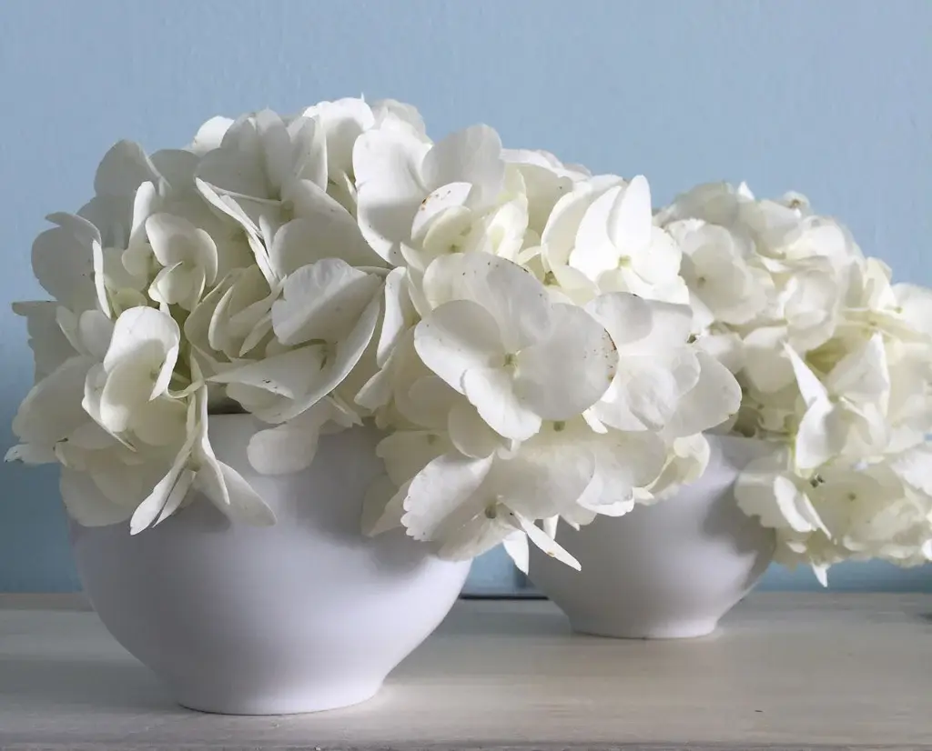 small vases