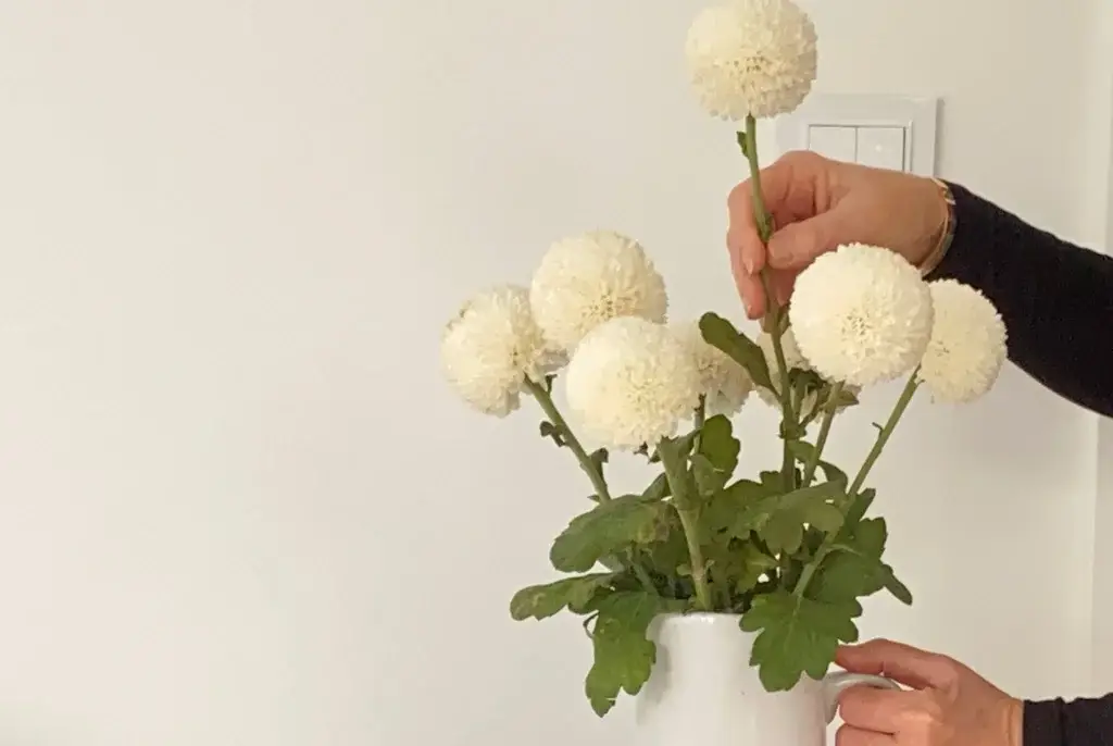 vase and hands