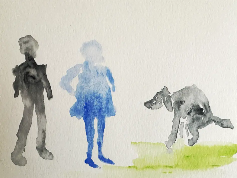 dog park dog park