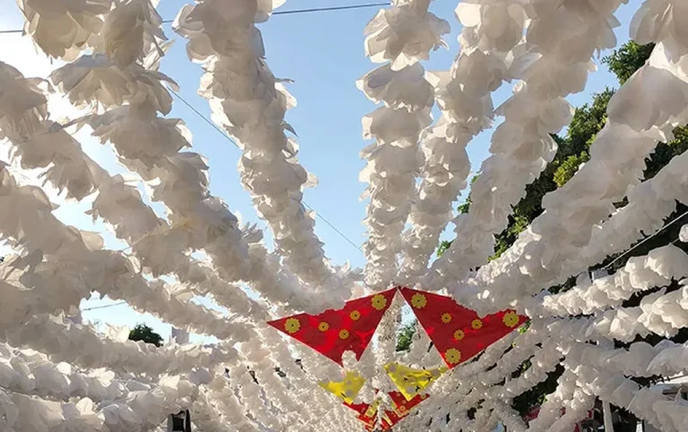 white paper flowers at the festival in Portugal, Mary Dlany