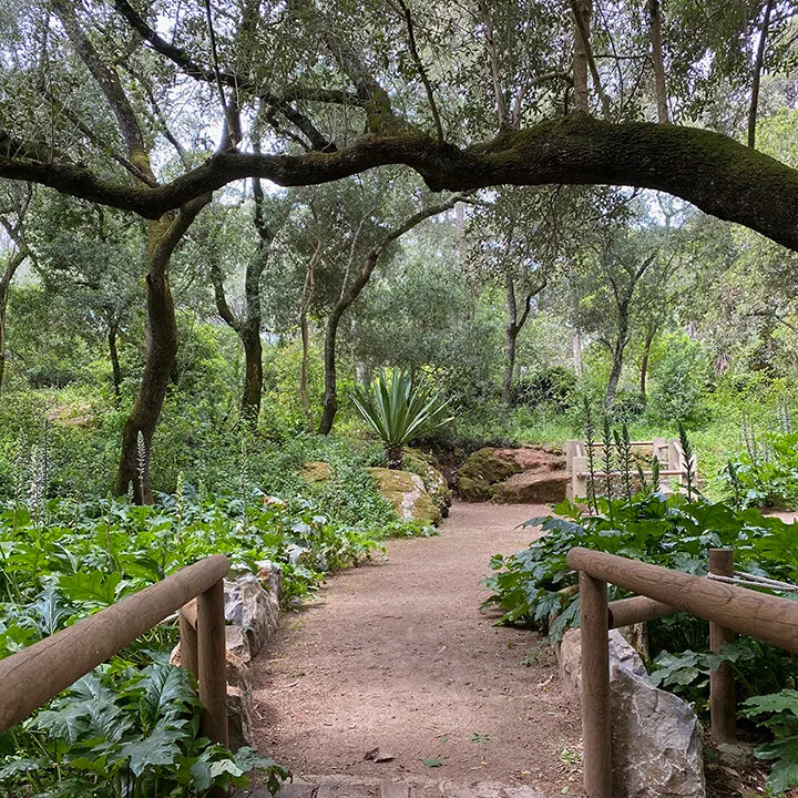 walkingmeditation
