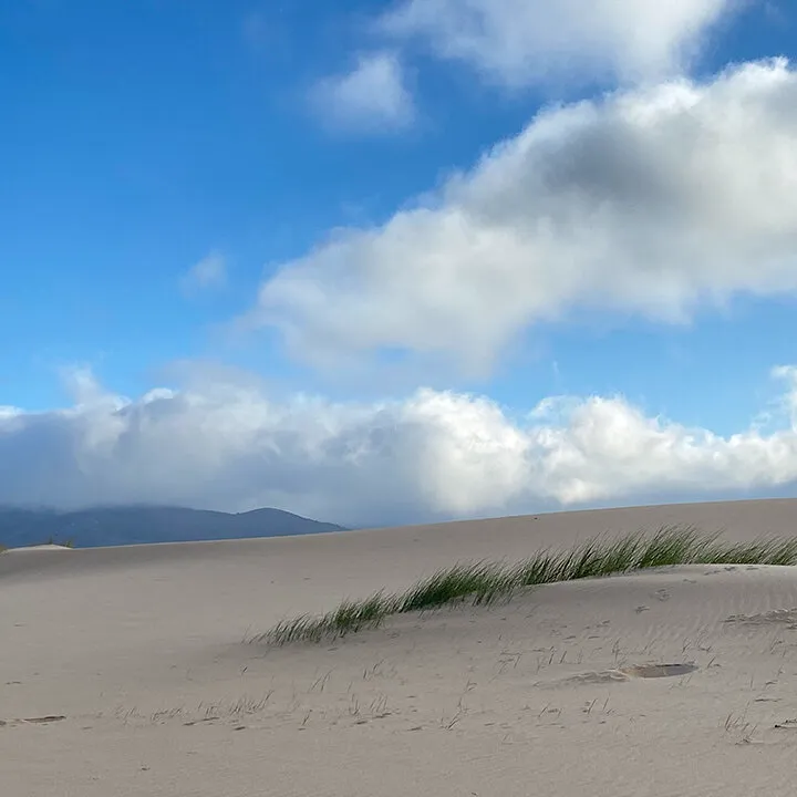 sandduneswalking
