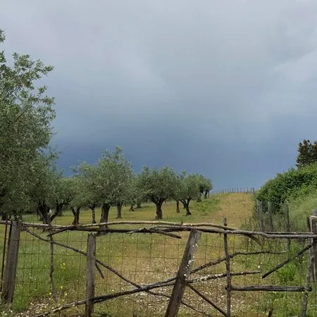 Alentejo walks expat