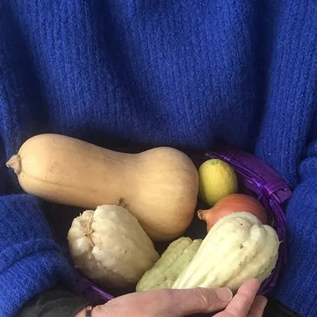 food travel veggies food travel veggies