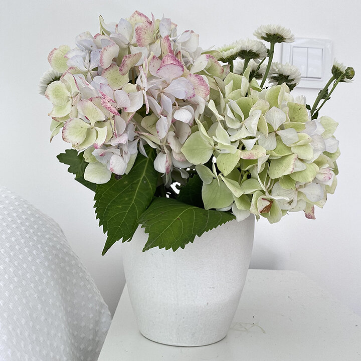 Light colors, spring-like floral design. Light green and pale pink flowers in white vase, a few dark green leaves