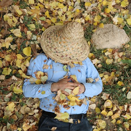 person sleeping on yellow leaves, hat covering face