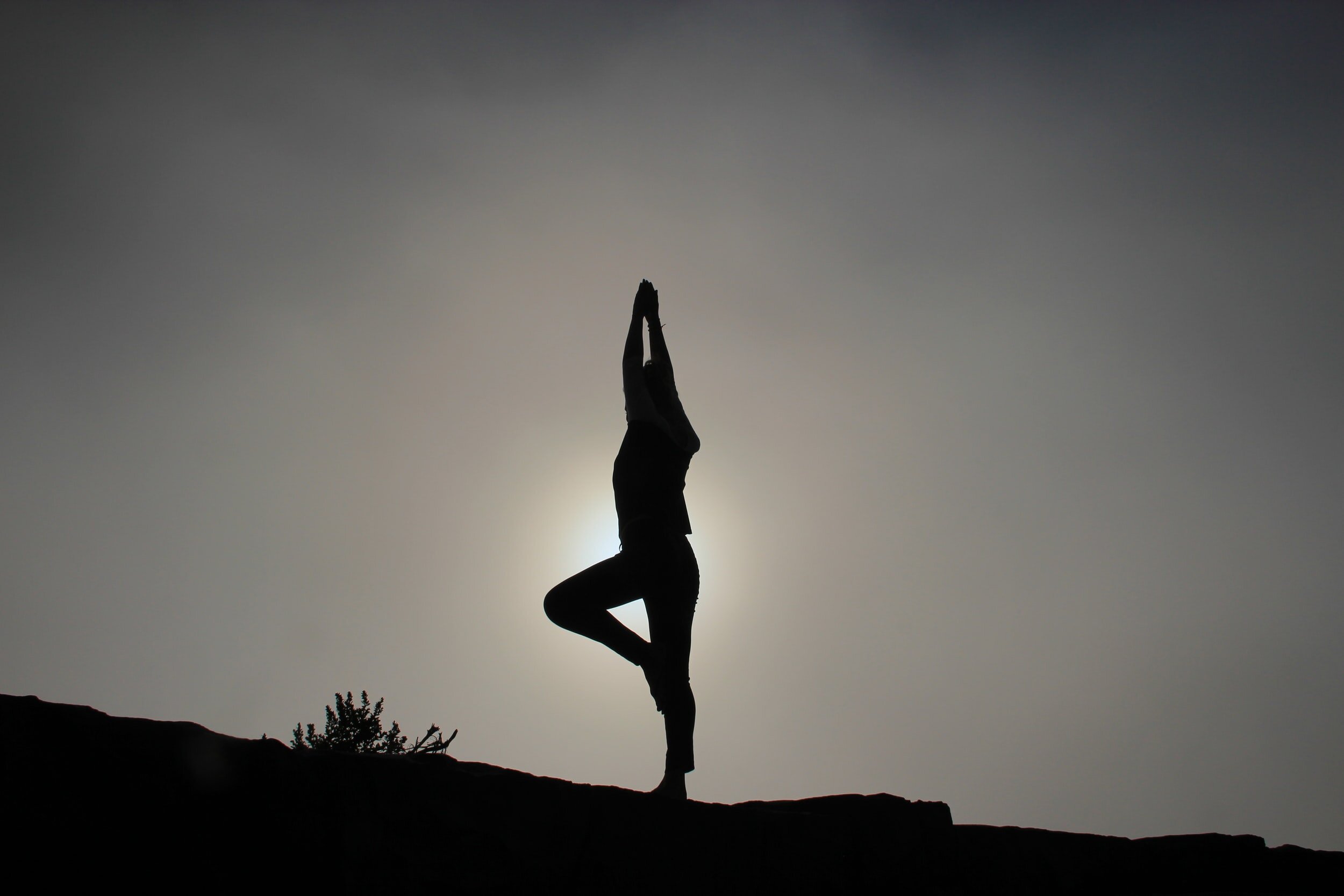 artist photo: Patrick Hendry @worldsbetweenlines, Unsplash