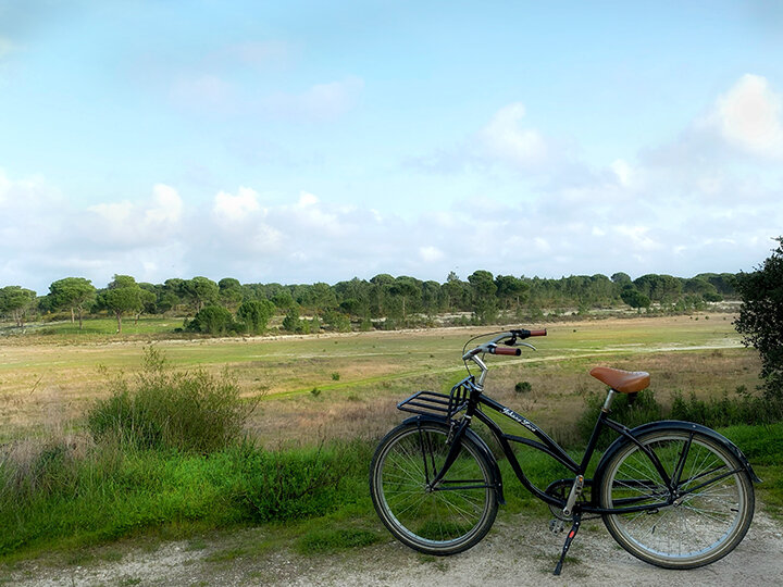 bike parked by the road with a view of a green landscape and blue skies