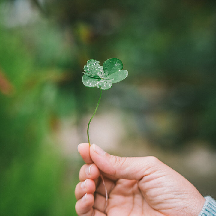 Photo by Harris Vo on Unsplash