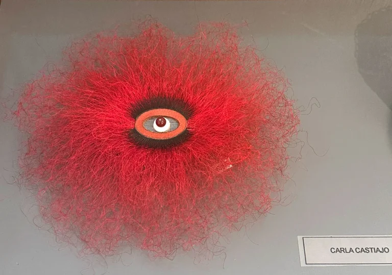 art to wear piece: red fluffy material and one ey ein the middle