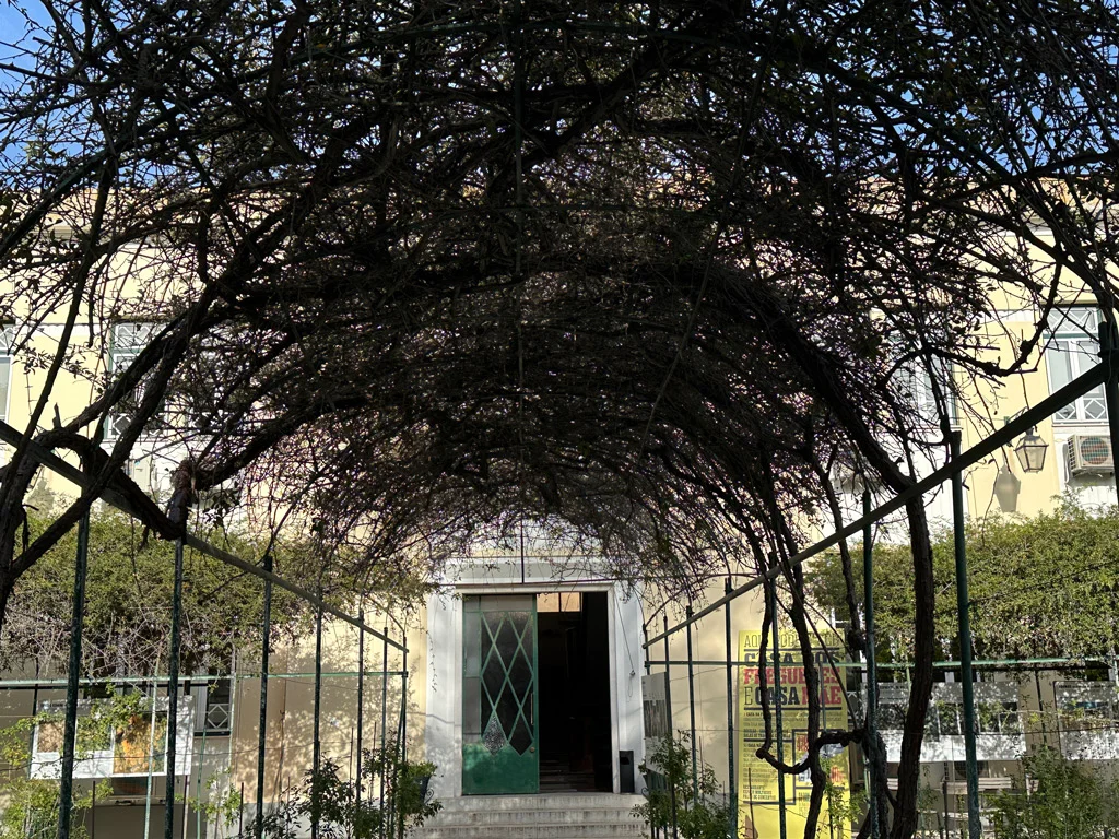 garden in Beato