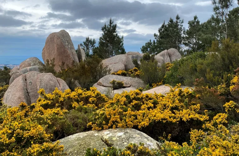 landscape photo bolders in the foreground, cloudy sky