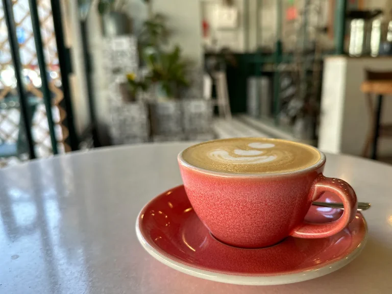 cup of cappuccino on a table, background soft, plants light Milkees
