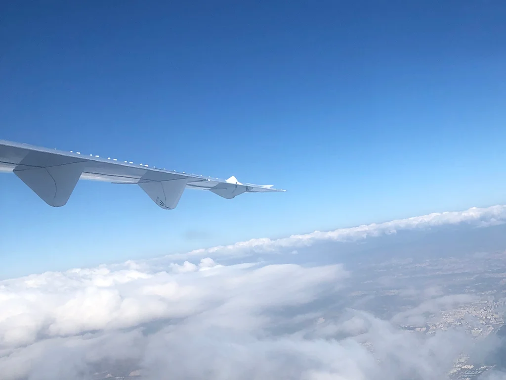 Plain wing, blue sky white clouds, Bologna childrens book fair