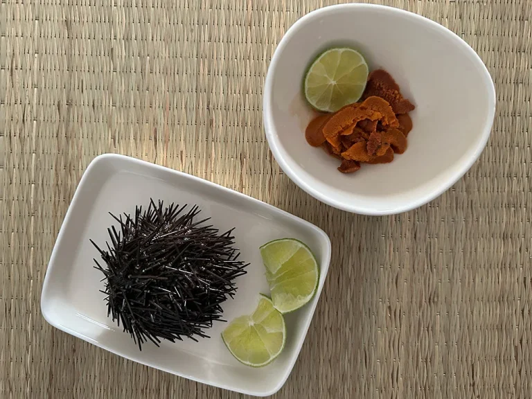 closed sea urchin and the inside of the sea urchin, sea urchin festival Ericeira