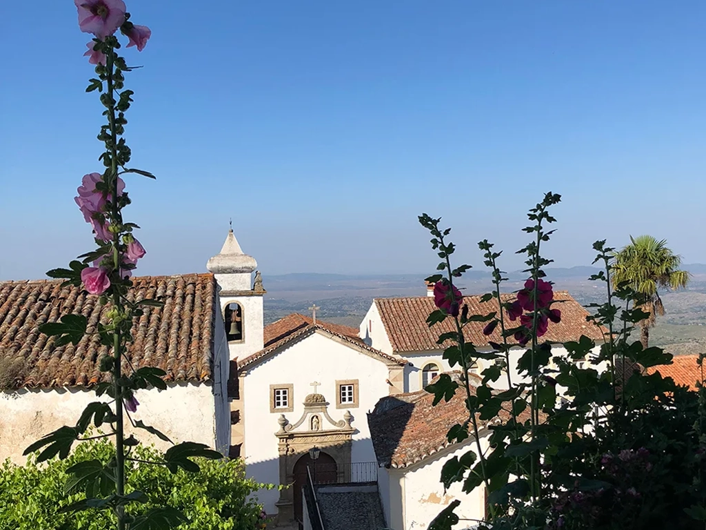 Pink flowers on the left and in the foreground, houses, rooftops and a church in the background. White-washed houses. Marvao typical homes. Bright blue sky. 